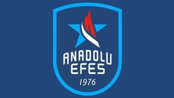 Anadolu Efes, THY Avrupa Ligi'nde LDLC ASVEL deplasmanına çıkacak