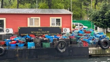 Anadolu Feneri'nde kaçak avlanan 10 ton kalkan balığına el konuldu