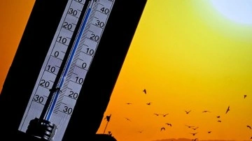 Ankara'da sıcaklık 39 dereceye kadar çıkacak
