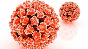 Ankara’da ücretsiz HPV aşısı uygulaması başladı