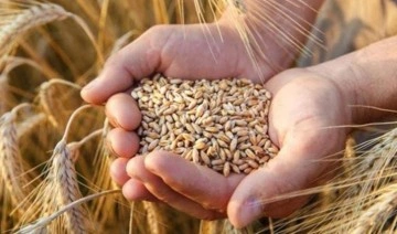 Anlaşmanın askıya alınması buğdayın fiyatını yükseltti