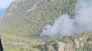 Antalya'da çıkan orman yangını! 2 dönüm alan zarar gördü