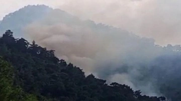 Antalya'da orman yangını! Çok sayıda ekip harekete geçti