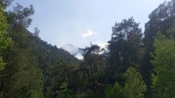 Antalya'daki korkutan orman yangını kontrol altına alındı