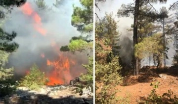 Antalya'da çıkan orman yangını, 2 saatte kontrol altına alındı