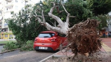 Antalya'da fırtına: Tekneler battı, ağaçlar devrildi
