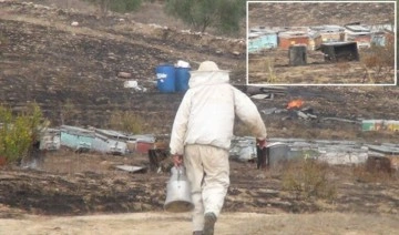 Antalya'da makilik alanda çıkan yangında arı kovanları alev alev yandı