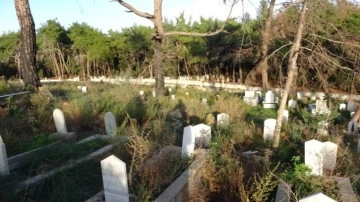 Antalya'da şiddetli fırtınanın söktüğü ağaç mezarları tahrip etti