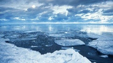 Antartika'da Deniz Buzu Alanı 'Rekor Seviyede' Düştü