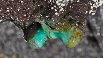 Antik Lav Mağaralarında 70 Yeni Mikrop Türü Keşfedildi
