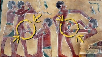 Antik Mısır'da Kölelerin Cinsel Organları Neden Kesiliyordu? - Webtekno