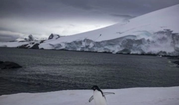 Araştırma: Antarktika'da buz sahanlığı beklenilenden daha kısa sürede eriyor olabilir