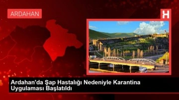 Ardahan'da Şap Hastalığı Nedeniyle Karantina Uygulaması Başlatıldı