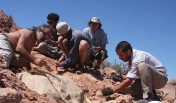 Arjantin'de 100 milyon yıl öncesine ait dinazor fosili keşfedildi