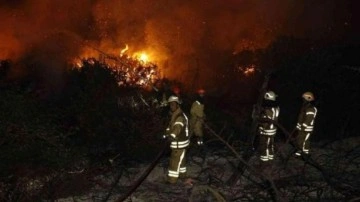 Arnavutköy'de ormanlık alanda çıkan yangın söndürüldü