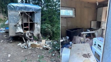 Artvin'de aç kalan ayı orman işçilerinin karavanını parçaladı!