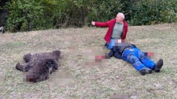 Artvin'de köye inen ayı yaşlı adama saldırdı feryadı duyan komşuları koştu dehşet görüntü