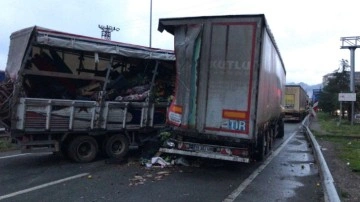 Artvin’de sebze yüklü kamyonet park halindeki tıra çarptı
