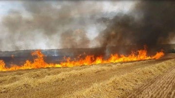 Aşırı sıcaklar hububat tarlalarında yangın riskini artırıyor!