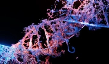 Ayak izi veya nefesten insan DNA'sı tespit edilebiliyor