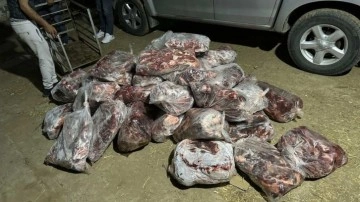 Aydın'da 1 ton domuz eti ele geçirildi! Vatandaşa yedireceklerdi