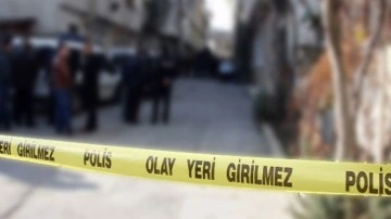 Aydın'da 2 kasten öldürme şüphelisi polis ekiplerince yakalandı