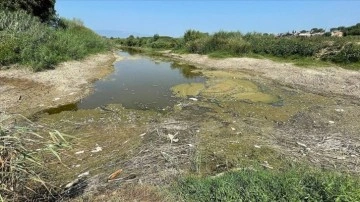 Aydın'da sel sonrası Menderes Nehri çöple kaplandı