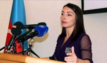 Azerbaycan'dan ABD çıkışı: AGİT Minsk Grubuna yeni eş başkan atamasına tepki gösterdi