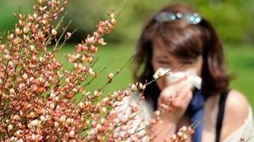Bahar alerjisine ne iyi gelir? Bahar alerjisi nasıl geçer?