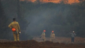 Bakan açıkladı: Hatay'daki orman yangını kontrol altına alındı