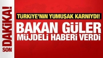 Bakan Güler müjdeli haberi verdi: Hisar ile hava savunma ihtiyacımız kalmayacak!