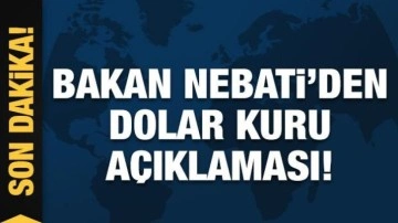 Bakan Nebati'den dolar kuru açıklaması