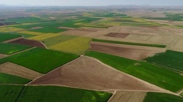 Bakan Özhaseki açıkladı: 80 bin çiftçiye tahsis edildi