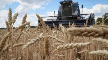 Bakan Vahit Kirişci'den buğday fiyatı açıklaması