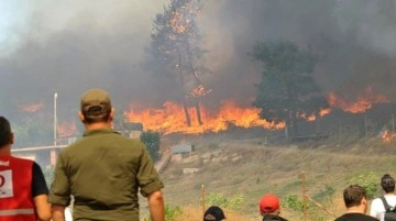 Bakan Yerlikaya: Hatay'daki orman yangınında gözaltına alınan 2 kişiden 1'i tutuklandı