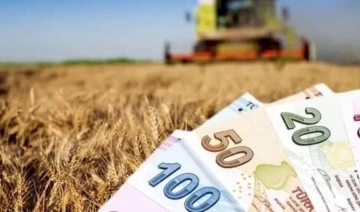 Bakanlık duyurdu: Tarımsal destekleme ödemeleri başladı