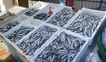 Balık av sezonunun kapanmasına günler kaldı: Fiyatlar artmaya başladı