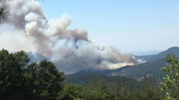 Balıkesir ve İzmir'de ormanlık alanda yangın!