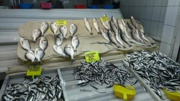 Balıkesir’de fırtına balık fiyatlarını vurdu