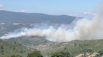Balıkesir'de orman yangın! Havadan ve karadan müdahale başladı