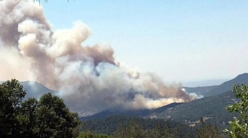 Balıkesir'de orman yangını başladı, ekipler alevlerle mücadele ediyor
