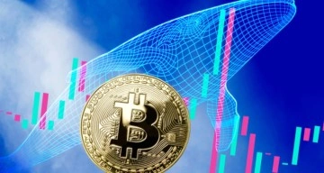Balinalar Bitcoin almaya devam ediyor