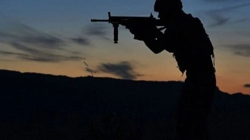 Barış Pınarı'nda 2 PKK'lı etkisiz hale getirildi