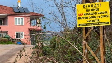 Bartın'da 12 köye şap karantinası