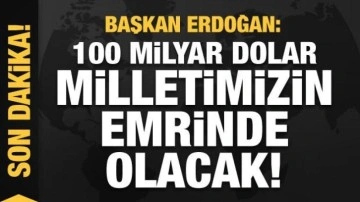 Cumhurbaşkanı Erdoğan dev mitingde açıkladı: 100 milyar dolar milletimizin emrinde olacak