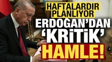 Cumhurbaşkanı Erdoğan haftalardır planlıyor, kritik hamle!