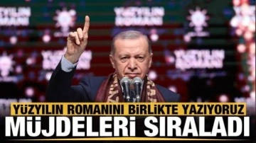 Cumhurbaşkanı Erdoğan Romanlardan bir kez daha destek istedi