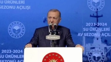 Cumhurbaşkanı Erdoğan: Su ürünleri ihracatında hedefimiz bu yıl bir rekor daha kırmak