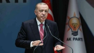 Başkan Erdoğan'dan "Başörtülü psikolog olamaz" diyen Üstün Dökmen'e tepki: Kendi