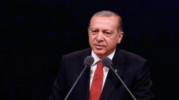 Başkan Erdoğan'dan BM Günü ve BM Teşkilatı'nın kuruluşunun 77. yıl dönümü mesajı